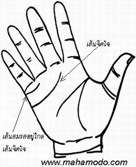 ดูลายมือ เส้นแต่งงาน