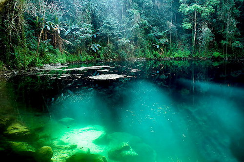 มหัศจรรย์ธรรมชาติที่ซ่อนไว้ ผาไท-หล่มภูเขียว