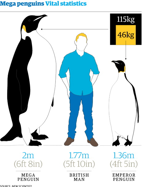เมื่อ 37 ล้านปีก่อน เพนกวิน สูงกว่า มนุษย์!?