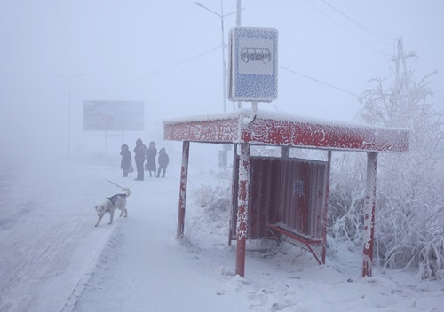 19 ภาพหนาวยะเยือก จากดินแดนที่หนาวที่สุดในโลก!