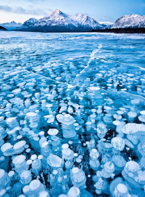 #2 Bubbles Under The Ice Of Abraham Lake, Canada