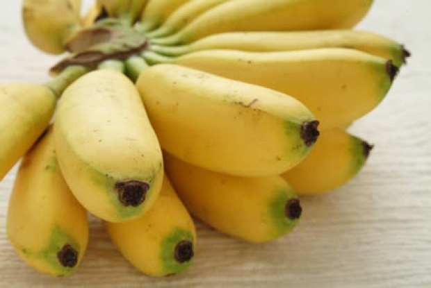 กล้วยน้ำว้าผลไม้สารพัดประโยชน์ รักษาโรคตั้งแต่ยังดิบ