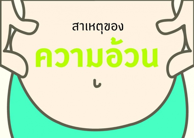 เพราะอะไรเราถึงอ้วน!  เข้าใจได้ง๊าย ง่าย! ลองอ่านดู!