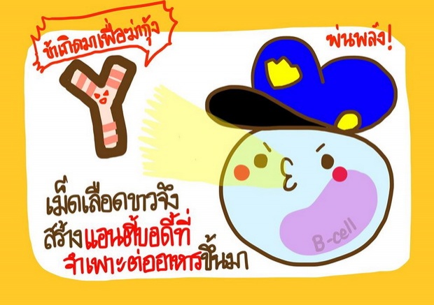  ‘แพ้อาหาร’ดัดจริตจริงดิ!  อธิบายด้วยภาพ เข้าใจได้ง๊าย ง่าย!