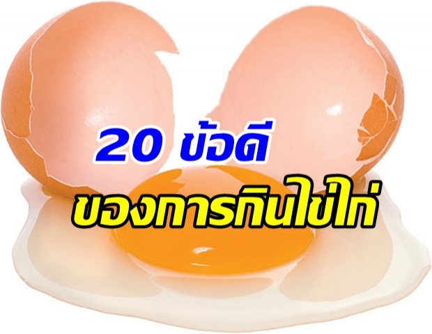 รู้หรือไม่ ไข่ไก่ มีประโยชน์อย่างไร 