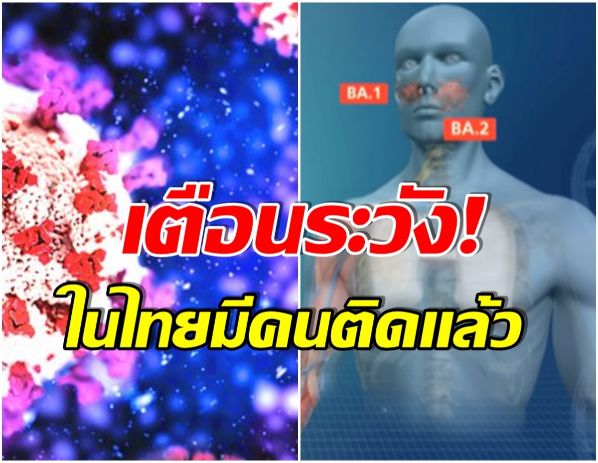 เฝ้าระวัง! โมมิครอนสายพันธุ์ BA.4-BA.5 เสี่ยงลงปอดง่ายขึ้น