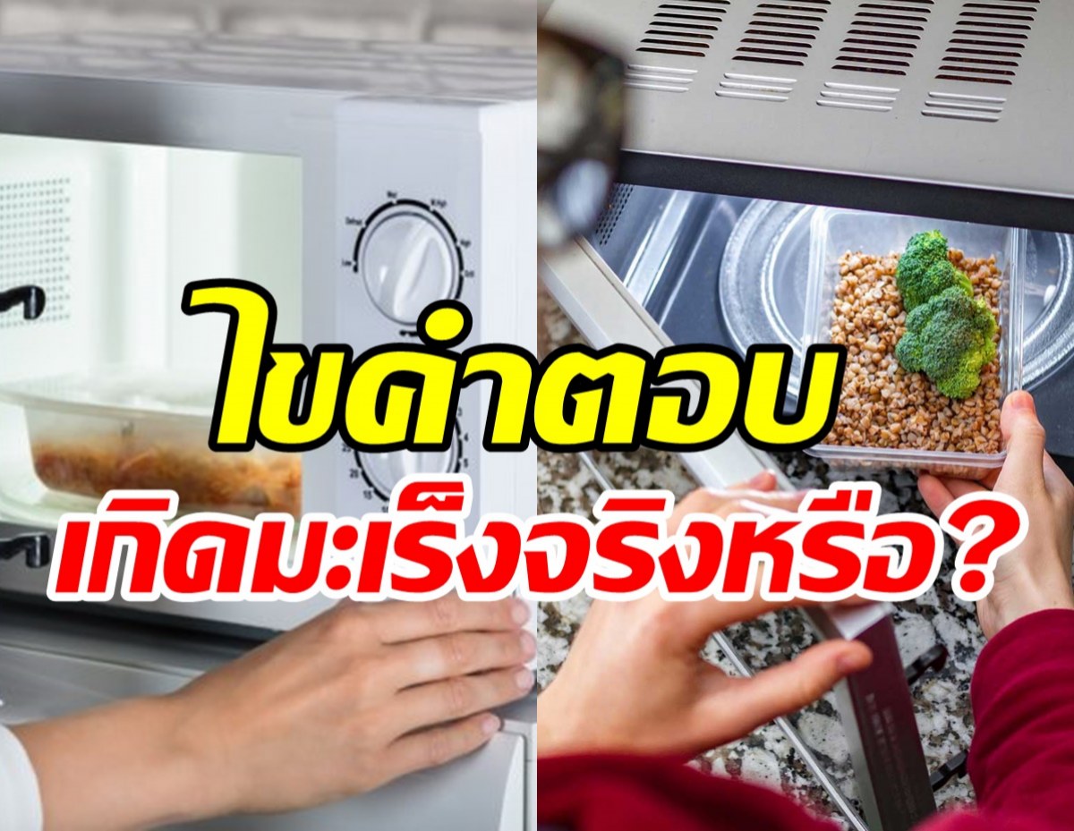 ไขข้อสงสัยอุ่นอาหารด้วยไมโครเวฟ ทำให้เกิดมะเร็งได้หรือไม่?