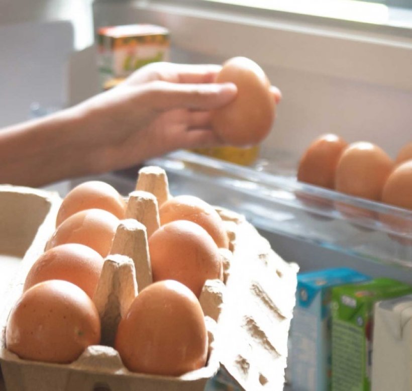   อ.เจษฎาไขข้อสงสัยไข่ไก่จำเป็นต้องล้างไหม เสี่ยงติดเชื้อโรคได้? 