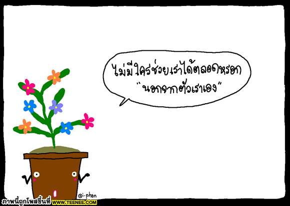 ข้อคิดดีๆ‏ จากดอกไม้