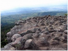 อุทยานแห่งชาติภูหินร่องกล้า