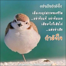 ข้อความให้กำลังใจ