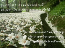 บนเส้นทาง...ของความรัก