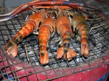 ทำไมกุ้ง ที่โดนความร้อน แล้วตัวเป็นสีแดง