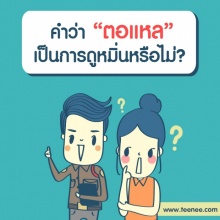 คำว่า”ตอแหล”เป็นการดูหมิ่นหรือไม่?