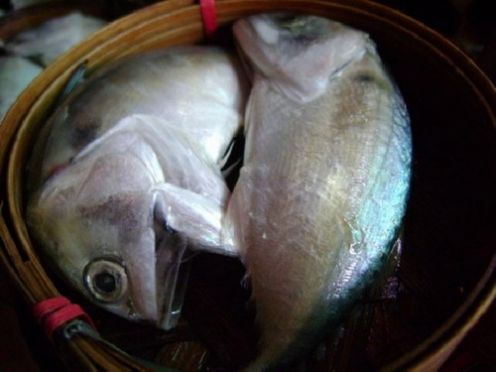 โอเมก้า 3 ลดความเสี่ยง โรคหัวใจ หาได้ใน ปลาทูไทย