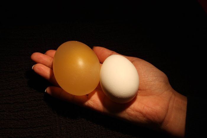 เอาไข่ไปแช่น้ำส้มสายชู แล้วจะเกิดอะไรขึ้น??