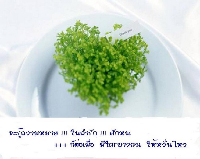 สัจธรรมของชีวิต