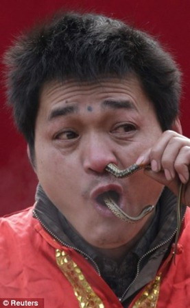 นักแสดงชาวจีน โชว์สอดงูเข้าปากโผล่ออกทางจมูกฉลองปีมะเส็ง