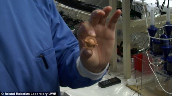 นักวิทย์เจ๋ง ใช้ปัสสาวะผลิตกระแสไฟฟ้าได้ หลังทดลองกับมือถือ(ชมคลิป) 