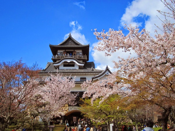7 สุดยอดที่เที่ยวชม “ดอกซากุระบาน” ที่ประเทศญี่ปุ่น ประจำปี 2015