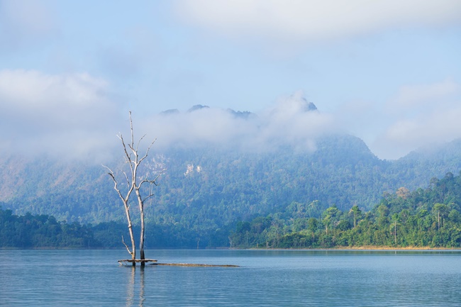 สวยมาก! แพคีรีวาริน ที่เขื่อนเชี่ยวหลาน ธรรมชาติที่คุณไม่เคยเห็นมาก่อน ในชีวิต