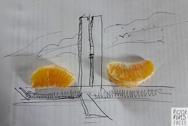 สุดเจ๋ง ศิลปะจากกลีบผลส้ม