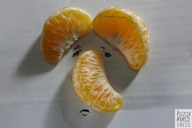 สุดเจ๋ง ศิลปะจากกลีบผลส้ม