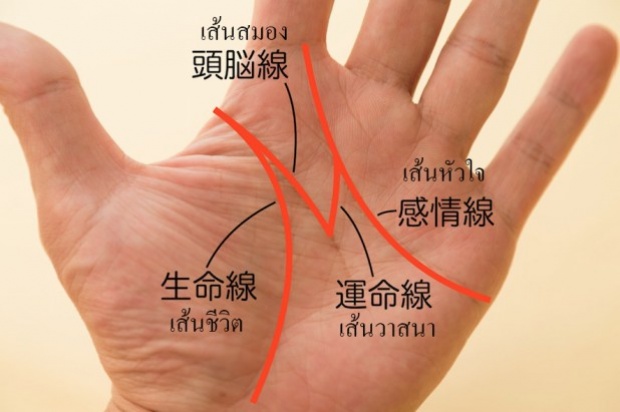 แบมือเช็คให้ไว!! มือคุณมี Lucky M หรือเปล่า?