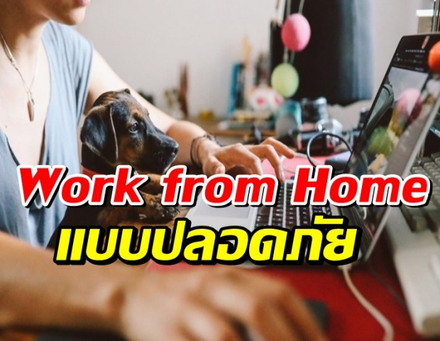 Work From Home อย่างไร ไม่ให้สายตาเสีย