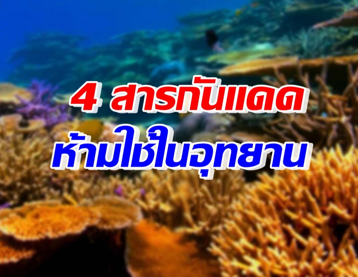 ควรรู้! ระวัง 4 สารกันแดดที่ห้ามใช้ในอุทยาน พร้อมเปิดสูตรทา