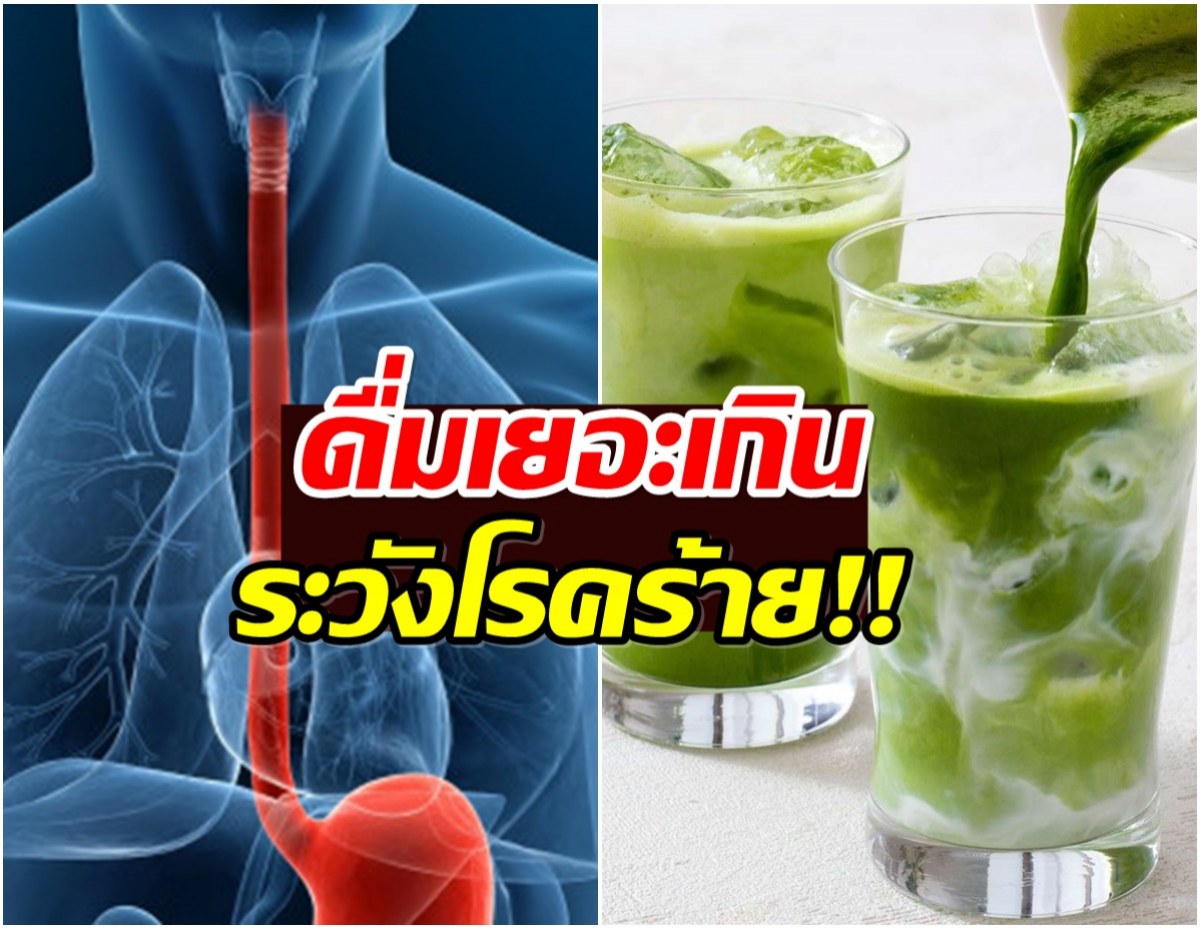 สายมัทฉะอ่านด่วน! ดื่มมากเกินไป อันตรายถึงชีวิต