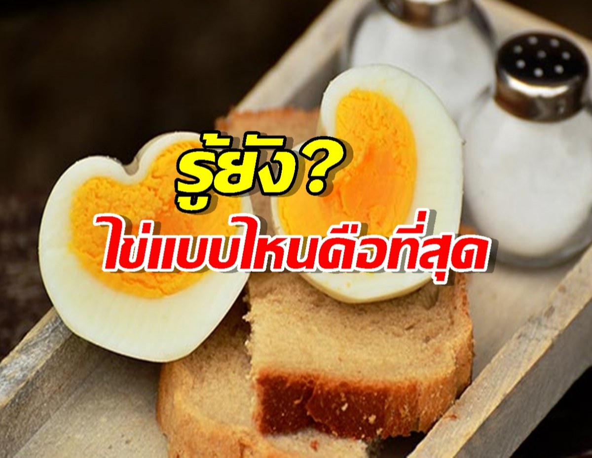 กินไข่ผิดมาตลอดชีวิต! เฉลยวิธีที่ดีที่สุด ดูดซึมโปรตีน 90