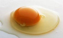 ไข่ดิบดีต่อสุขภาพจริงหรือ ? 