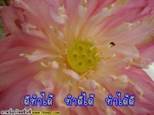 คำขอที่ยิ่งใหญ่