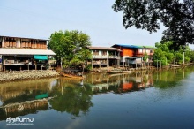 ล่องเรือชมธรรมชาติ ณ ศูนย์อนุรักษ์ป่าชายเลน คลองโคน จ.สมุทรสงคราม