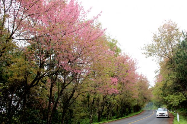 5 สถานที่รับลมหนาวที่สุดในไทย