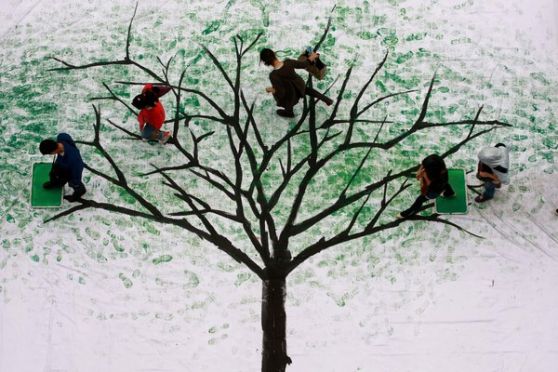 จีน รณรงค์ปลูกต้นไม้ไปทั่วโลก