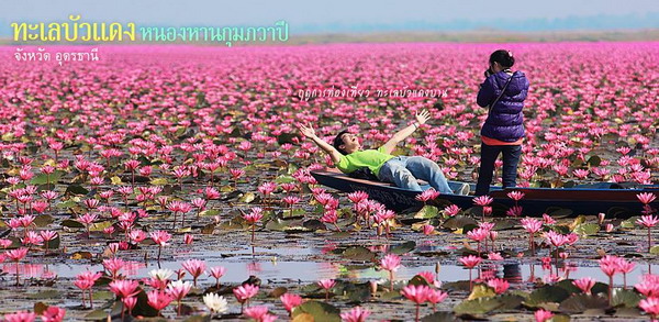 ทะเลบัวแดง หนองหานกุมภวาปี