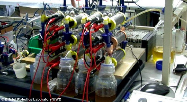นักวิทย์เจ๋ง ใช้ปัสสาวะผลิตกระแสไฟฟ้าได้ หลังทดลองกับมือถือ