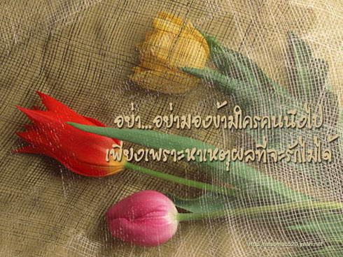 นั่นคือความรักใช่ไหม…