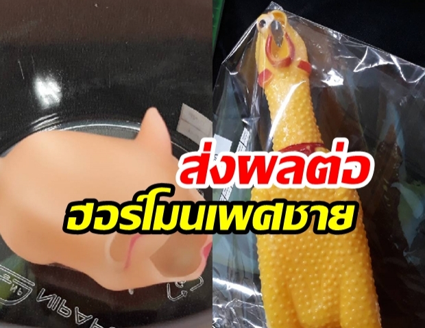 “พบสารทาเลต” เกินค่ามาตรฐานใน “ตุ๊กตายางบีบ” ส่งผลต่อฮอร์โมนเด็กผู้ชาย