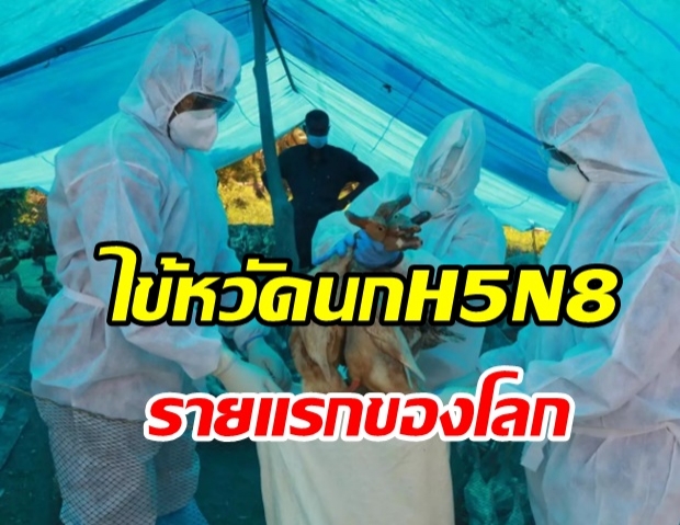  ไข้หวัดนก H5N8 ติดคนครั้งแรกที่รัสเซีย เป็นภัยคุกคามครั้งใหม่หรือไม่?