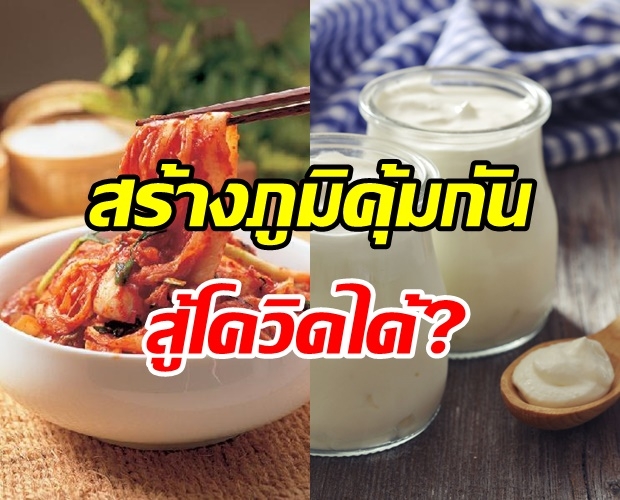  กิมจิ-โยเกิร์ต สร้างภูมิคุ้มกันสู้โควิด-19 ได้จริงหรือไม่?