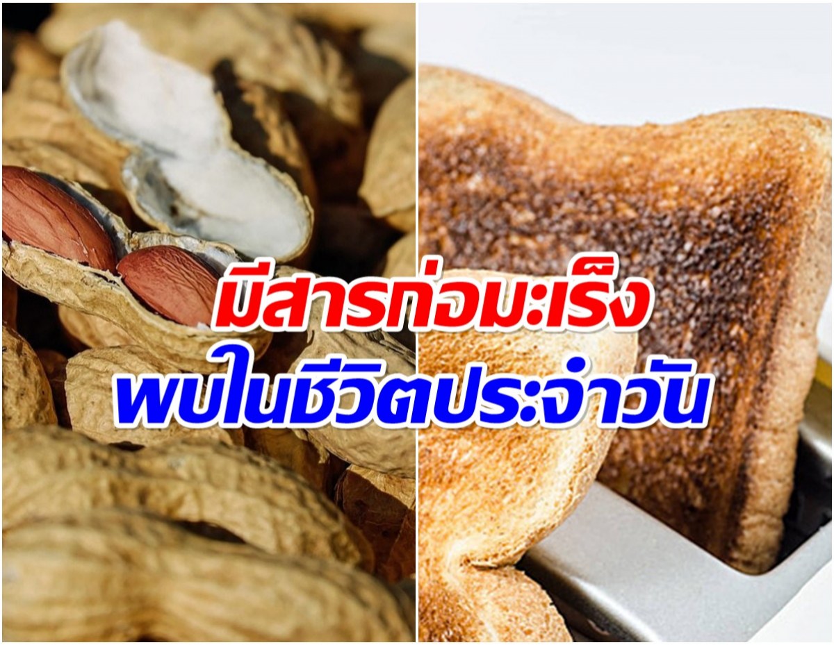 เเพทย์เผย 6 สารอันตราย ยืนยัน! ก่อมะเร็ง!