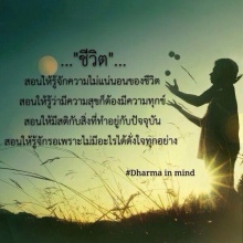 . . . ชีวิต. . .