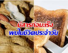 เเพทย์เผย 6 สารอันตราย ยืนยัน! ก่อมะเร็ง!