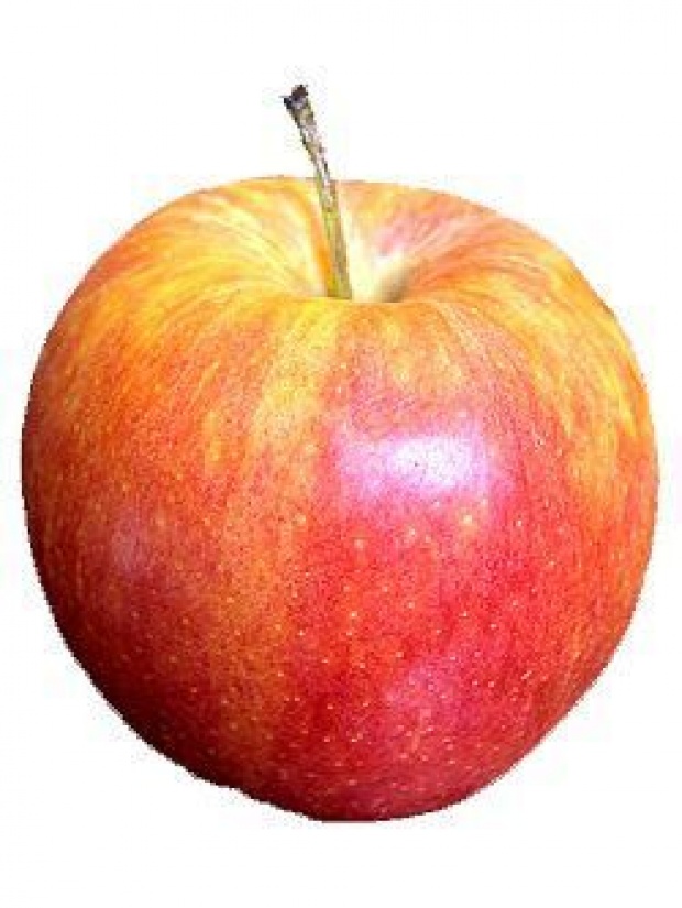 แอปเปิ้ลน่ากิน