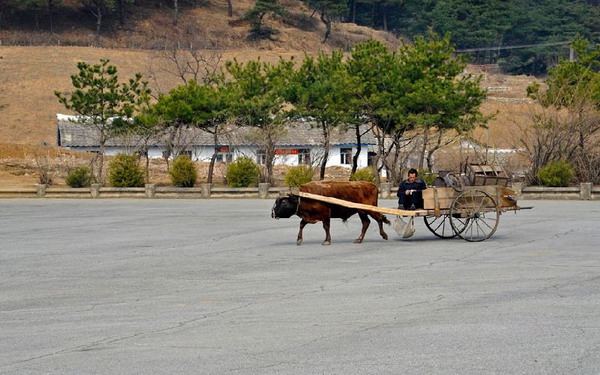 ขอวีซ่าเข้า ′เกาหลีเหนือ′ กว่า 2 ปี ช่างภาพสวีเดน คุ้ม! ได้ภาพ ′กรุงเปียงยาง′ มาเพียบ