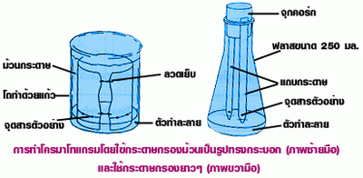 เทคนิคเปเปอร์โครมาโทกราฟฟี่