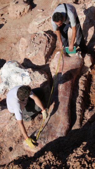 ค้นพบไดโนเสาร์ใหญ่ที่สุดในโลกที่อาร์เจนตินา